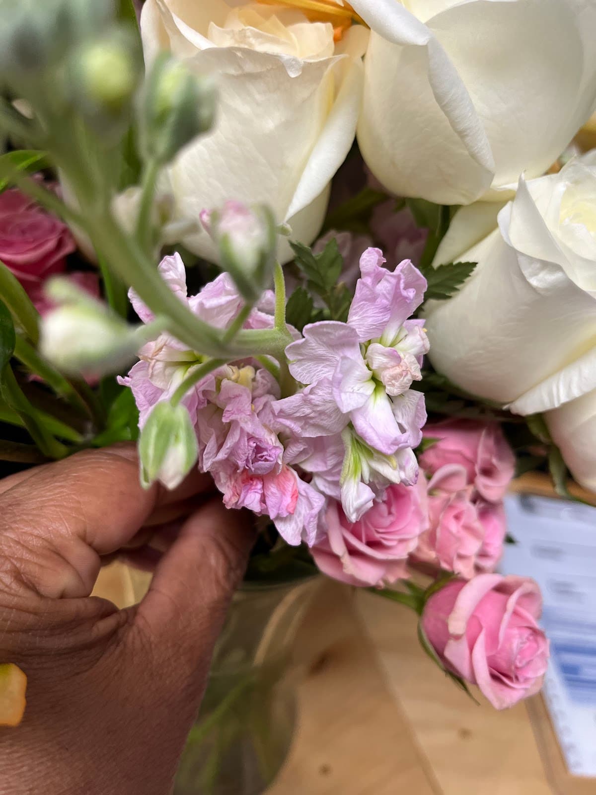 Buds and Blooms - Image 1