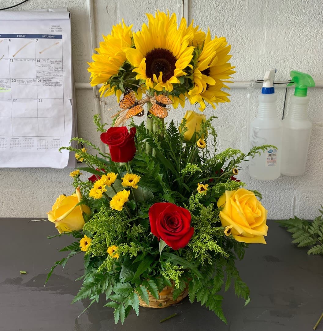 Rosa & Rosas - Image 1