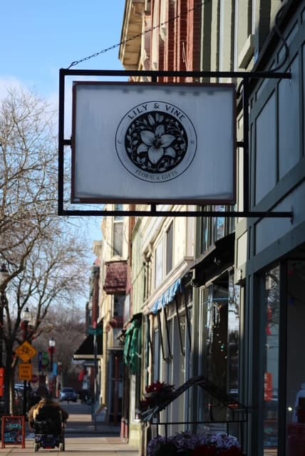 Lily & Vine Floral and Gifts - Image 1