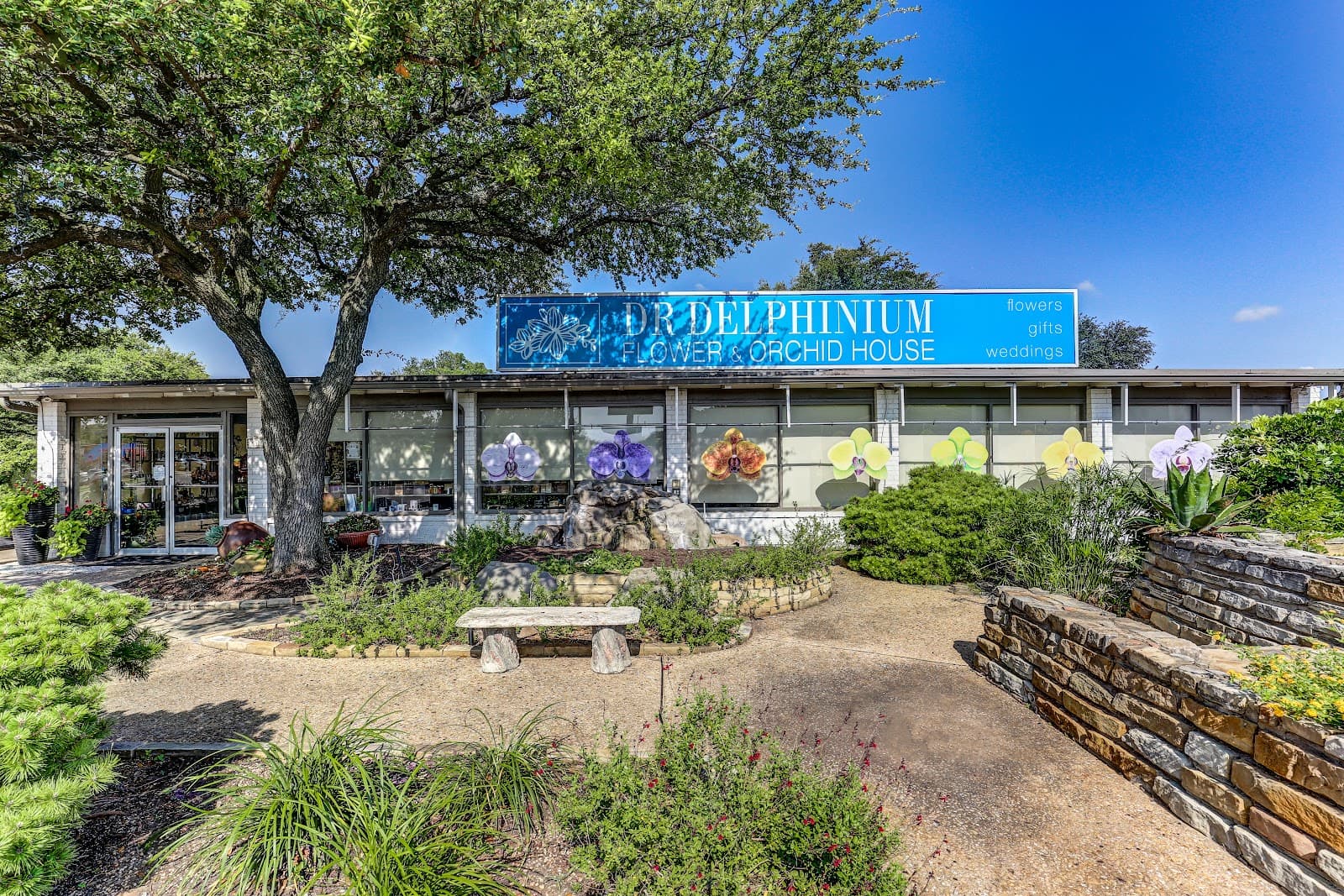 Dr Delphinium Flower & Orchid House - Image 1