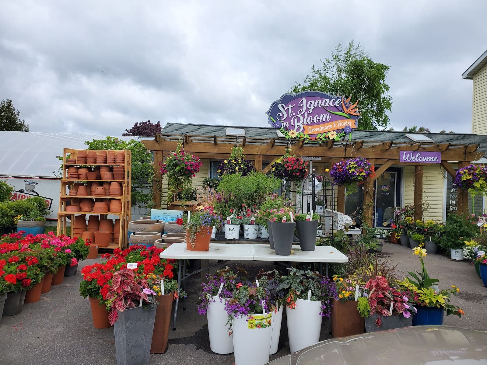 St Ignace In Bloom | Greenhouse & Florist - Image 1
