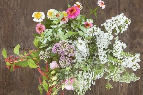 Stem & Vine - Image 1