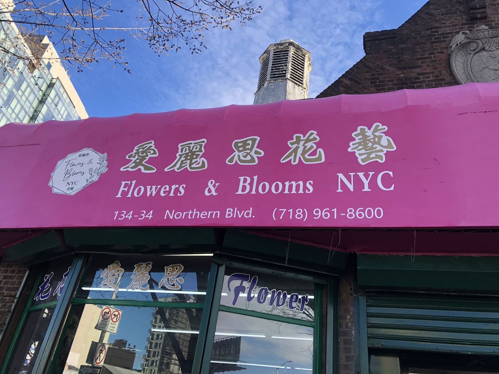 Flower and Blooms - Image 1