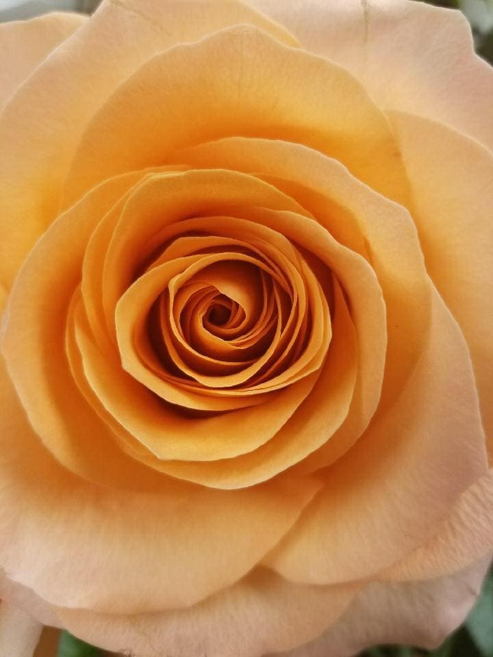 Sandtown Florists - Image 1