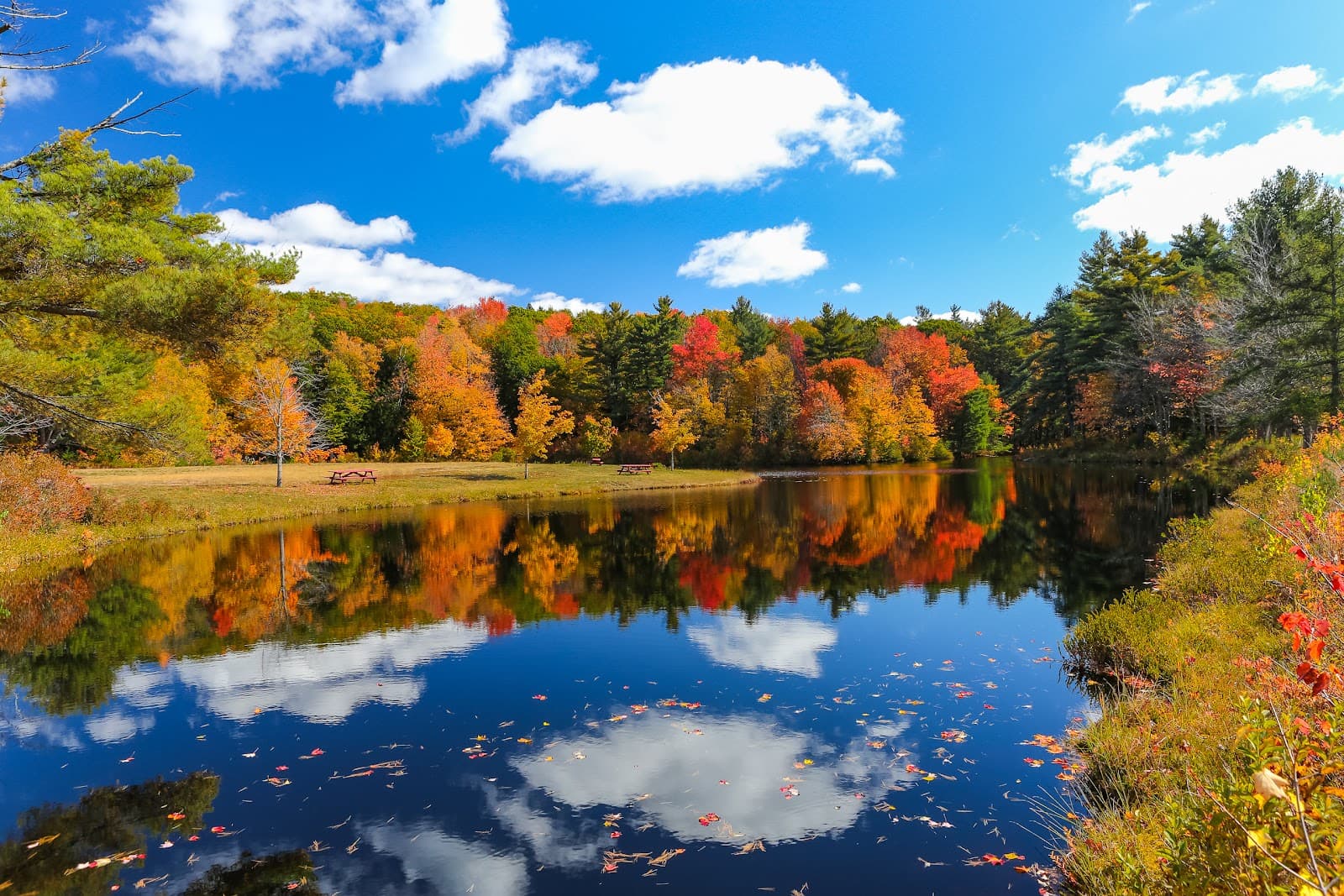 The Country Florist - Image 1