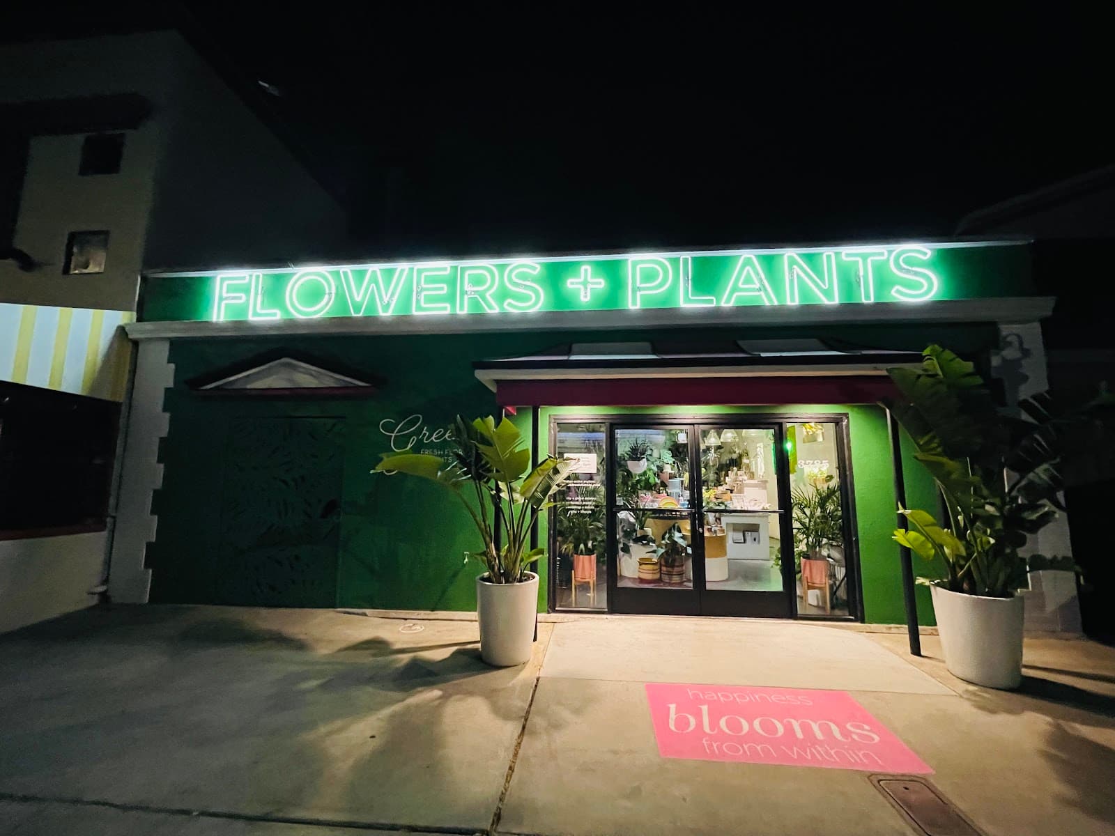 Green Fresh Florals + Plants - Image 1