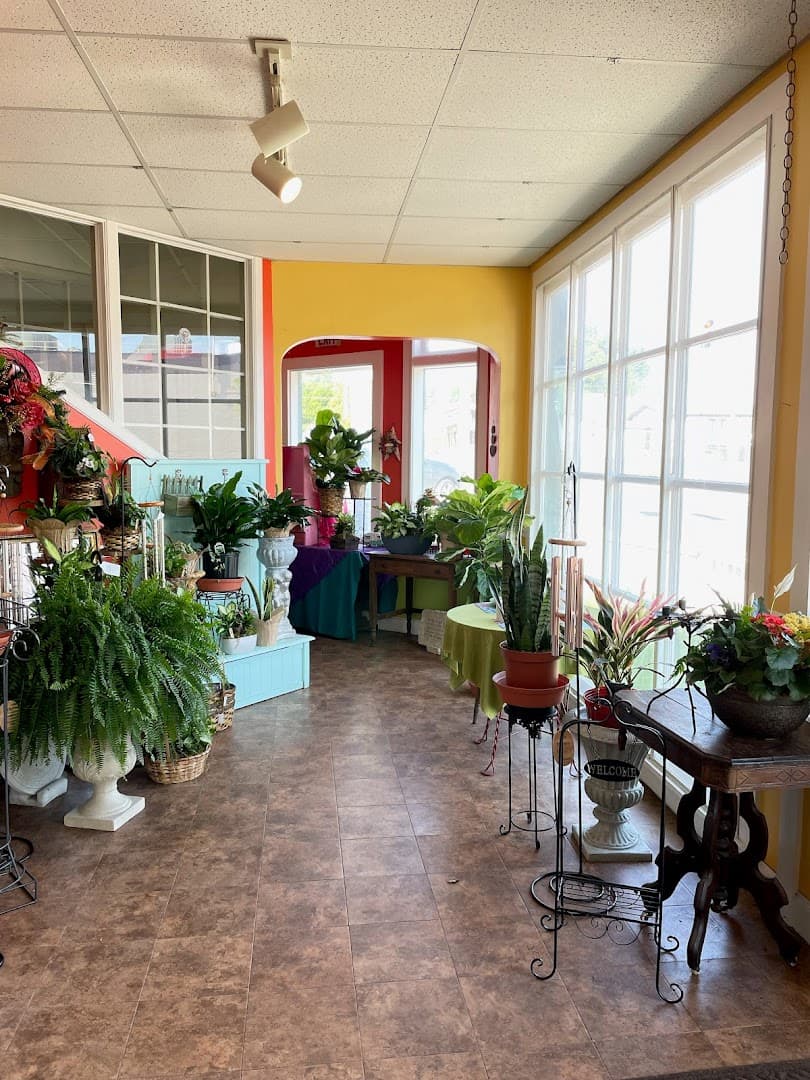 Kafer's Flowers - Image 1