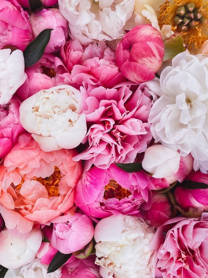 Graceful Acres Flower Farm - Image 1