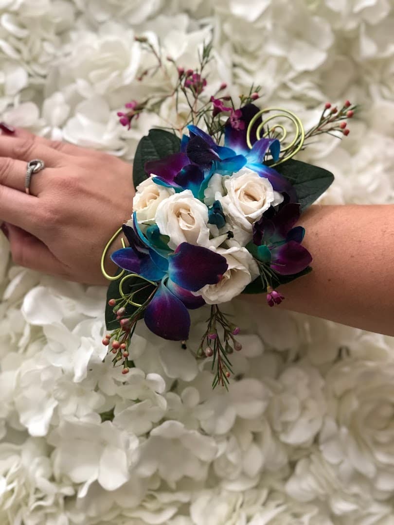 Angelique Boz Designs - Image 1