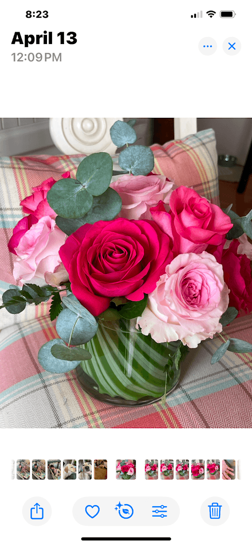 Flowers By the Sea - Image 1