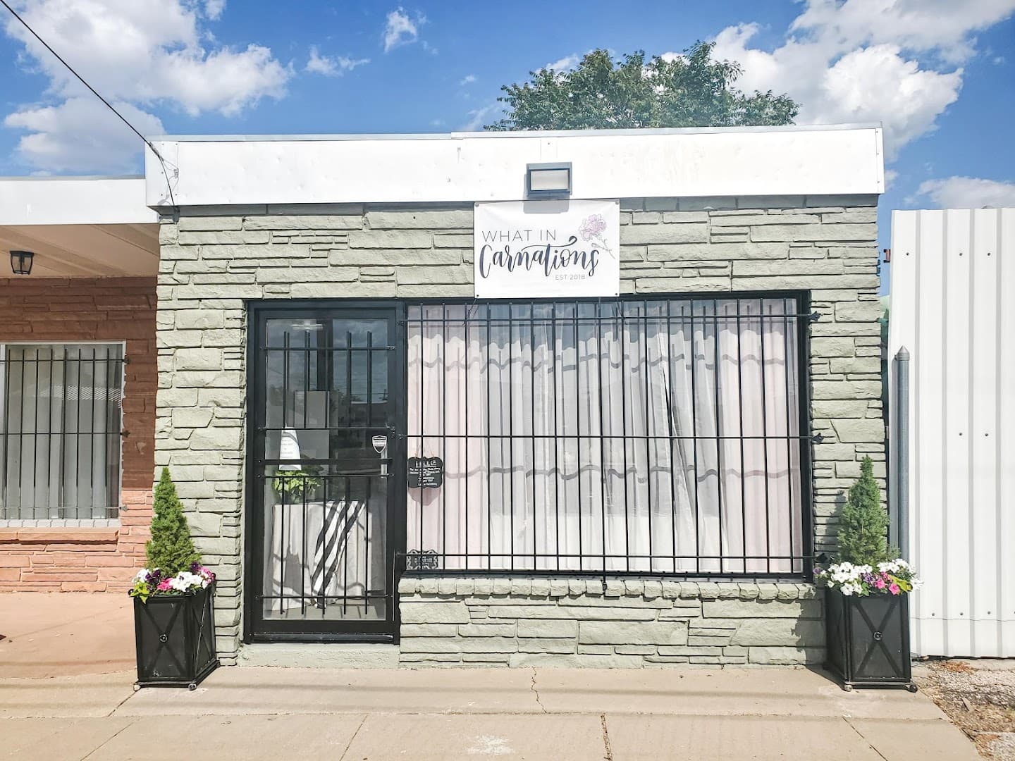 What in Carnations - Image 1