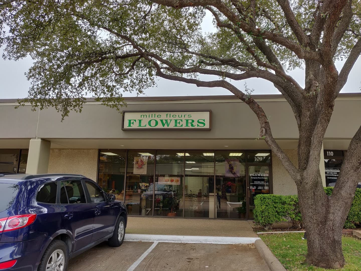 Mille Fleurs - Image 1