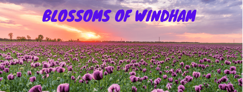 Blossoms of Windham - Image 1