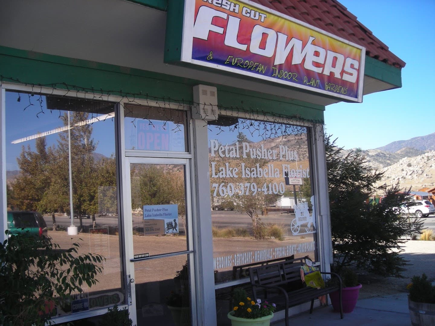 Petal Pusher Plus Lake Isabella Florist - Image 1