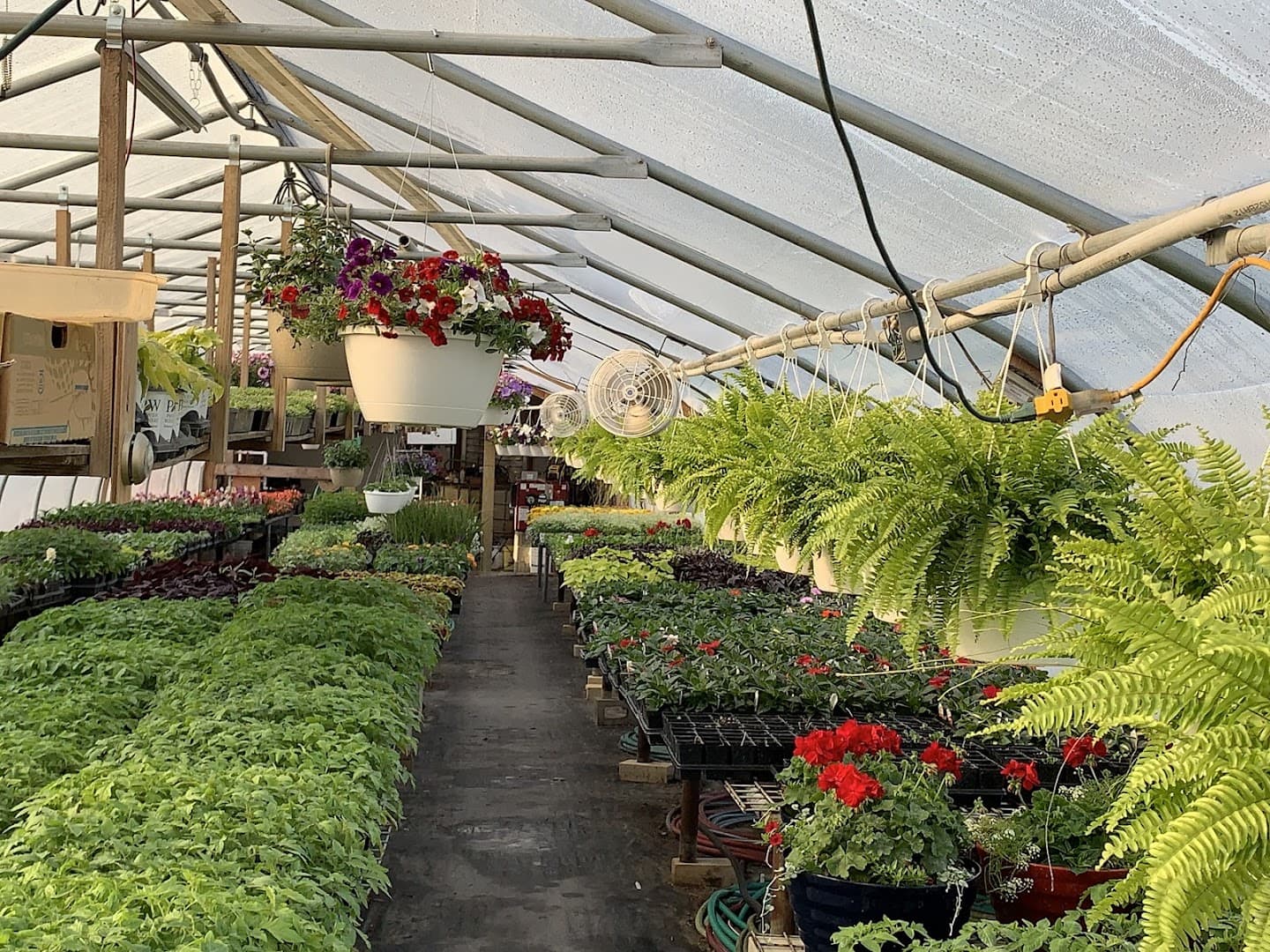 Stacie's Greenhouse and Flower Shop - Image 1