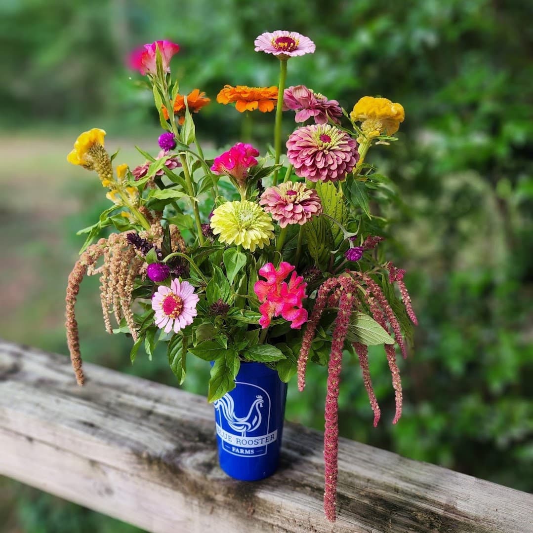 Blue Rooster Farms, An Alabama Flower Farm - Image 1