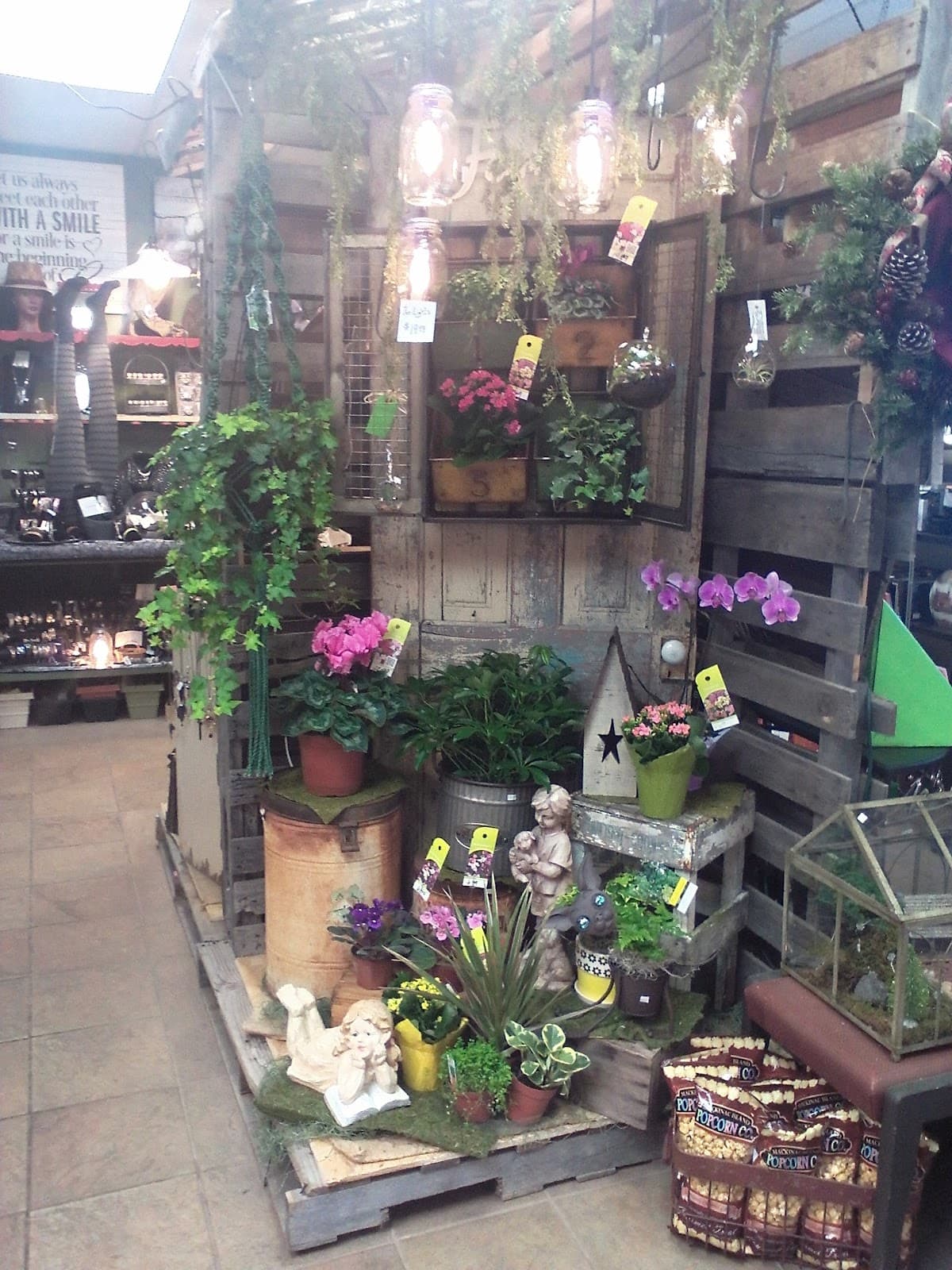 The Wild Violette - Image 1