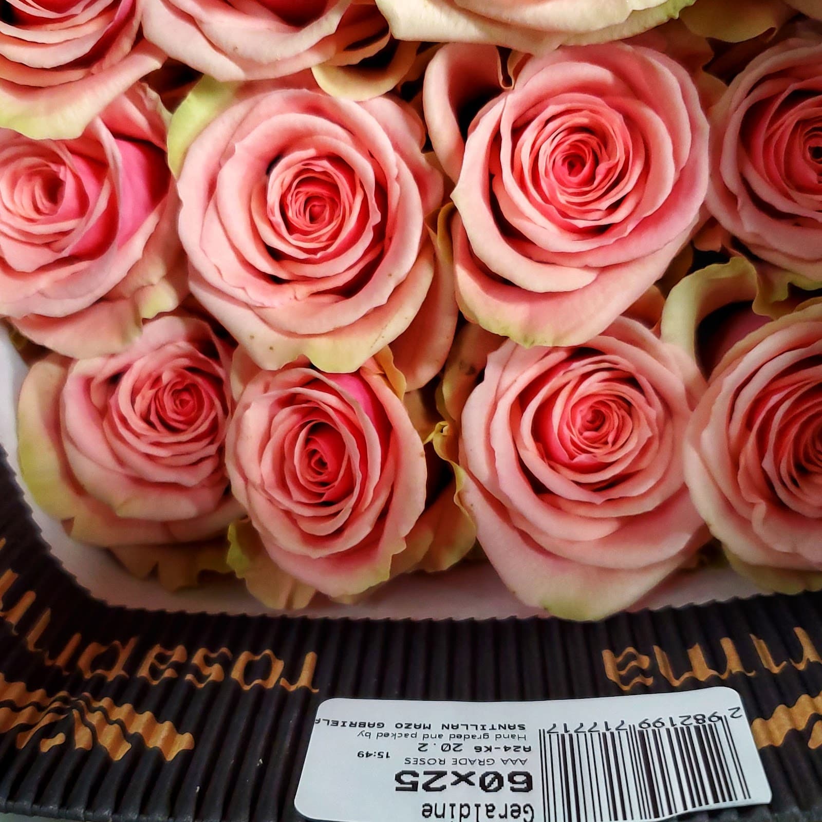 Everflora Twin Cities - Image 1