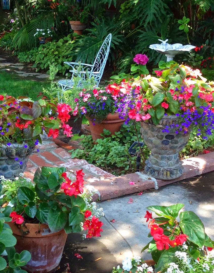 Plantscapes Unlimited San Diego, Since 1979 - Image 1