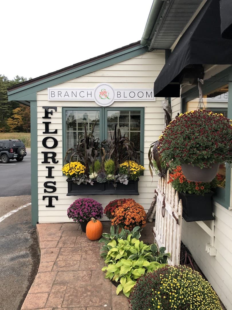 Branch & Bloom - Image 1