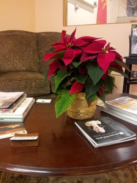 Petal Me Home Flowers - Image 1