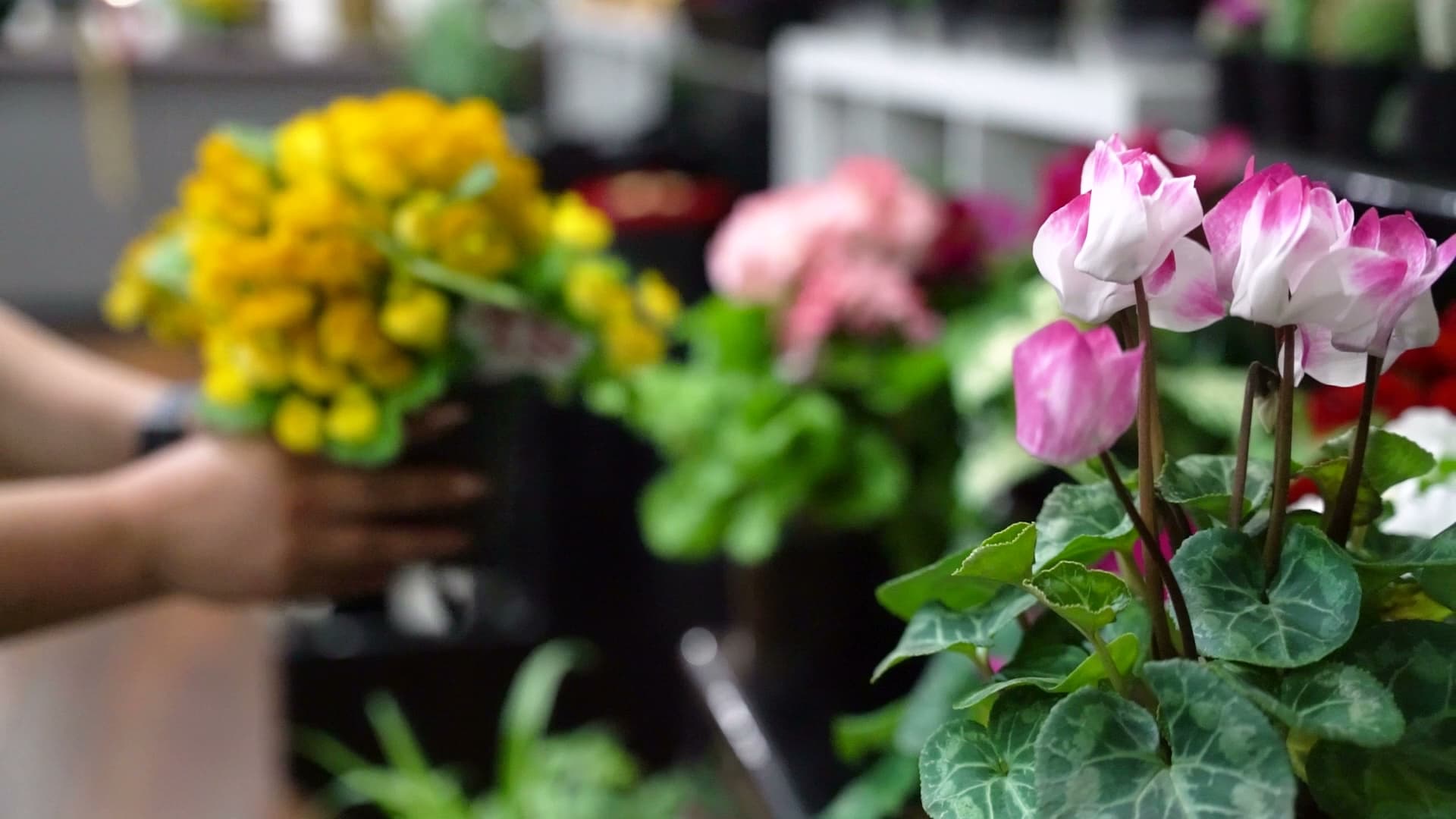 Unforgettable Moments Flowershop - Image 1