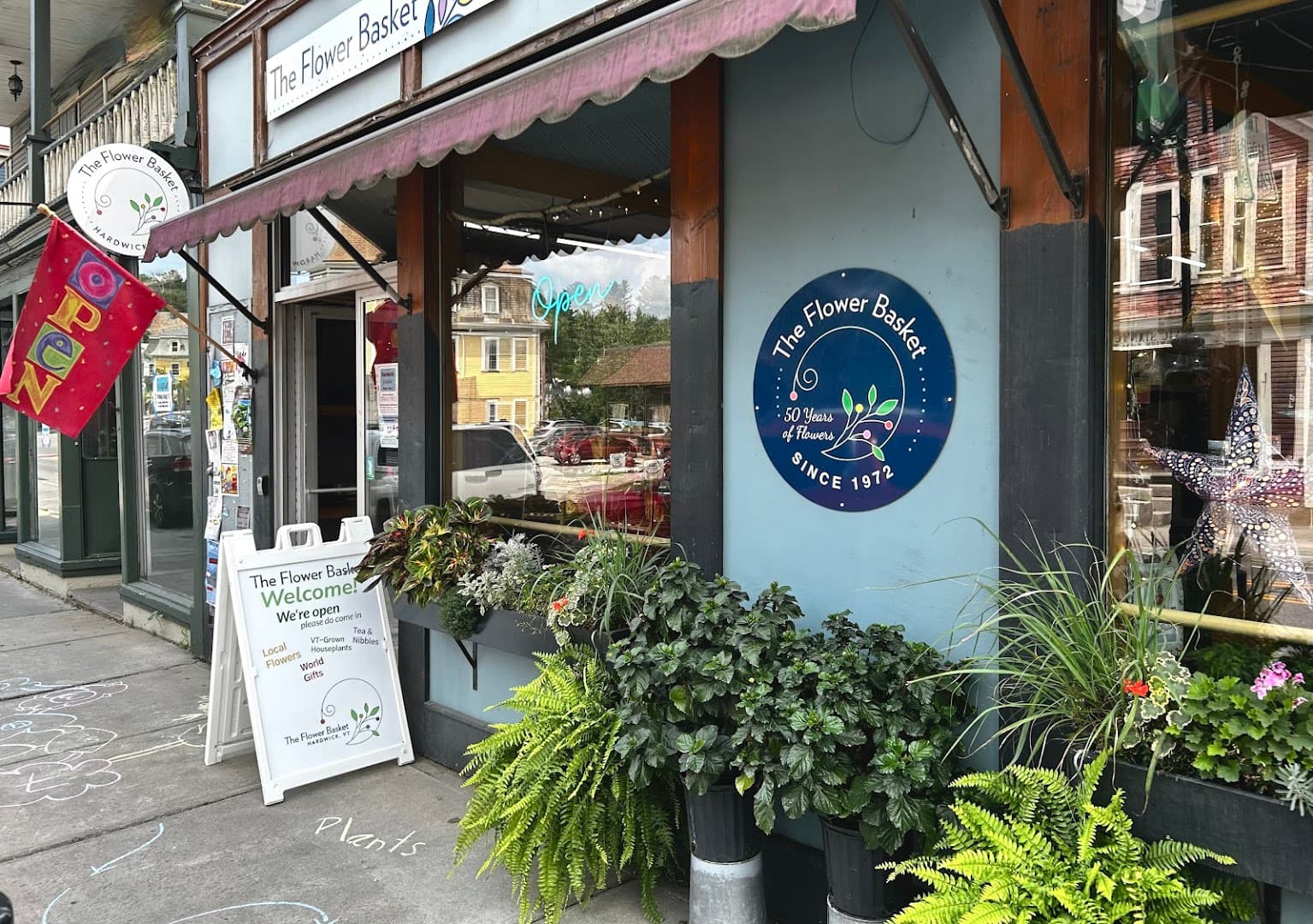 The Dailey Daisy - Image 1