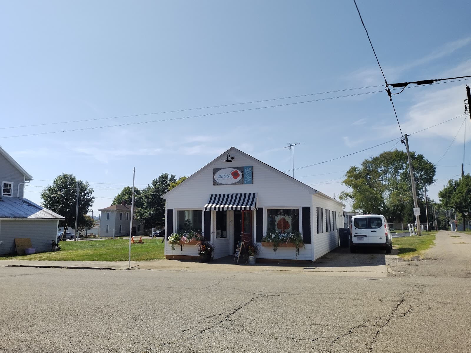 Petals & Possibilities - Image 1