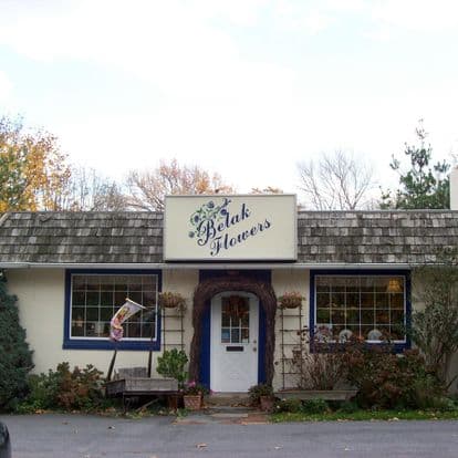 Belak Flowers - Image 1