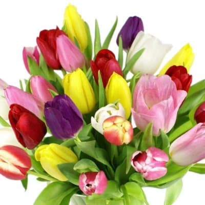 Sam's Club Floral - Image 1