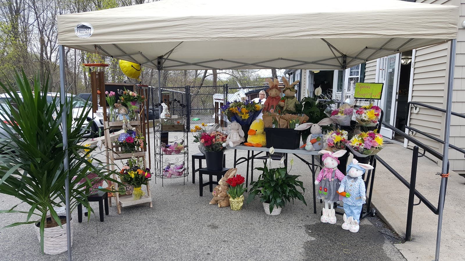 Sutton Pond Flowers & Gifts - Image 1