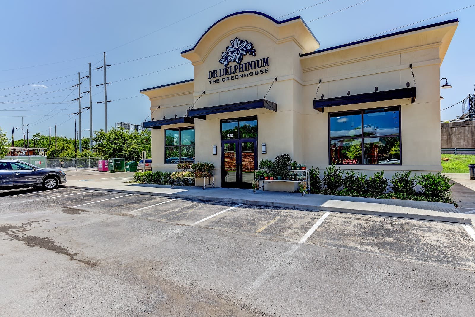 Dr Delphinium Designs & Events - Image 1