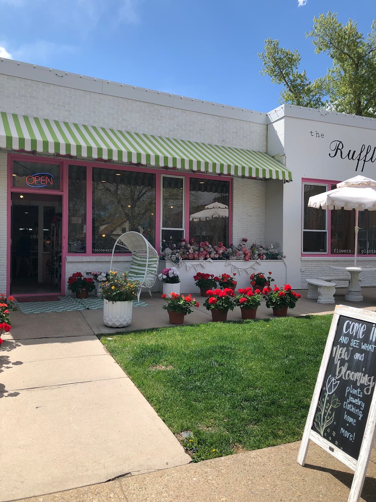 The Ruffly Rose - Image 1