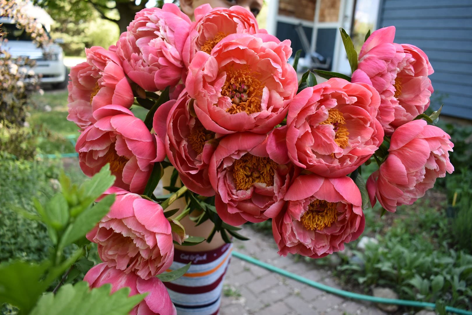 Natalie's Petals - Image 1