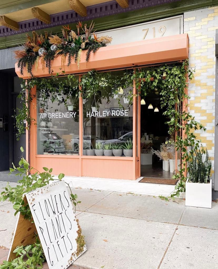 Harley Rose - Image 1