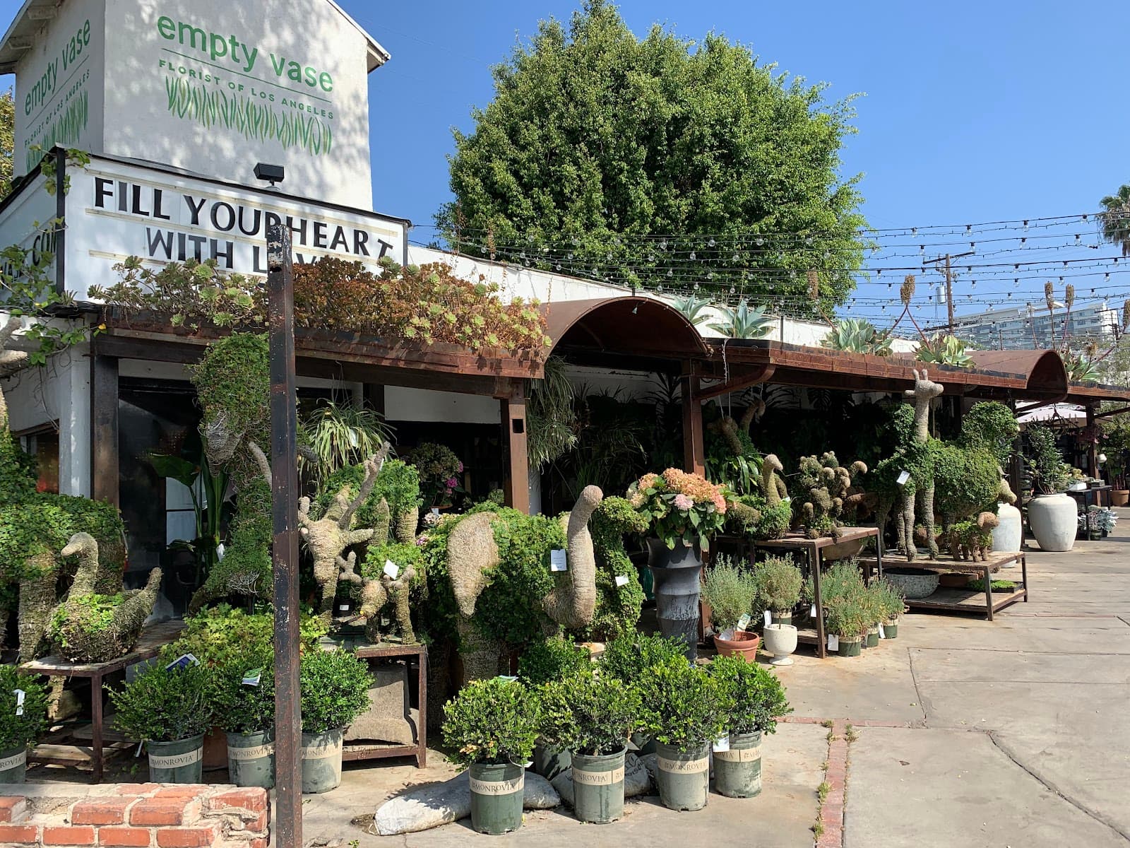 Empty Vase Florist - Image 1