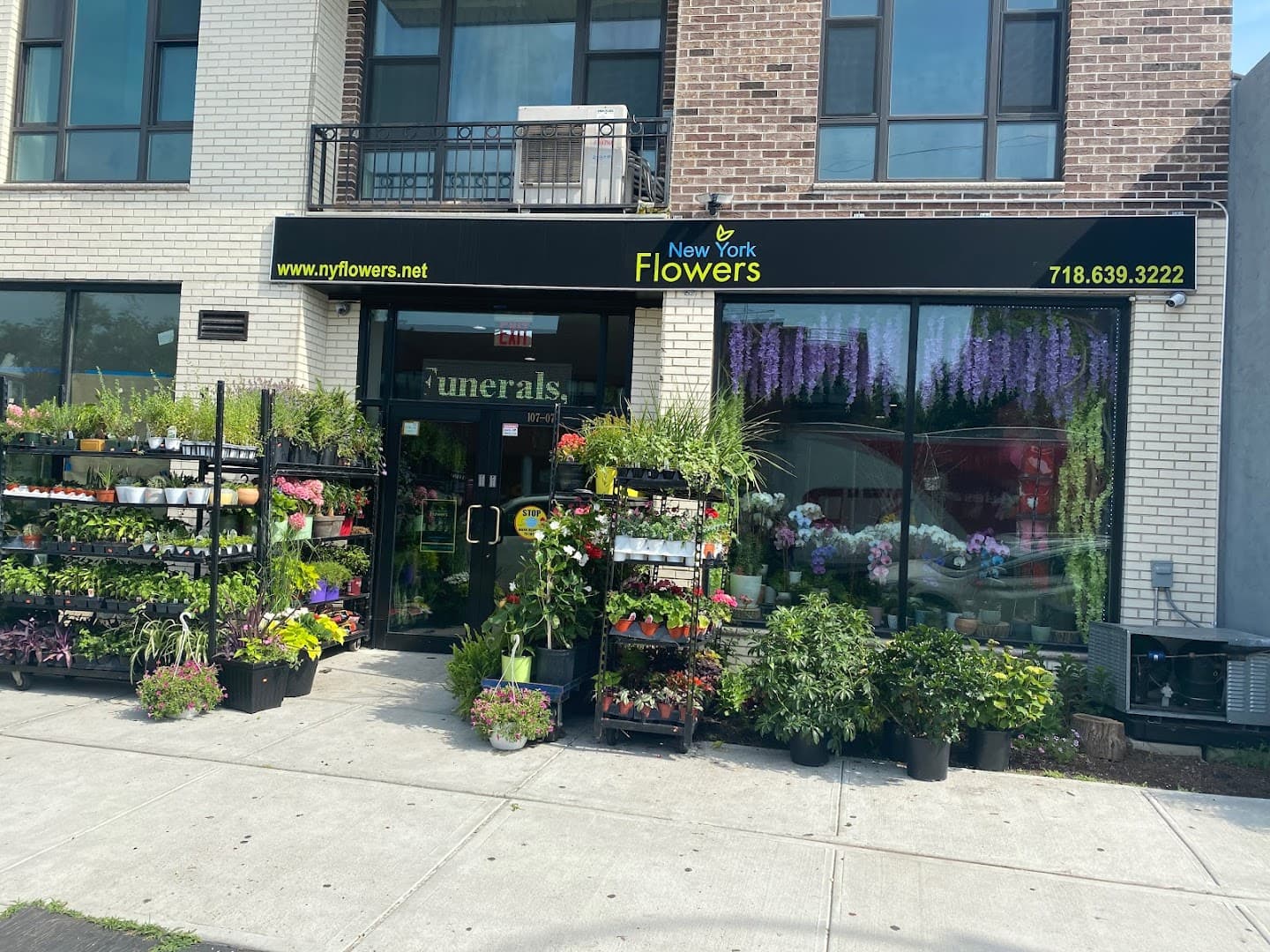 New York Flowers - Image 1