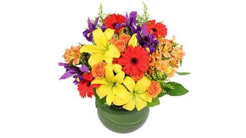 Kathy's Flowers - Image 1