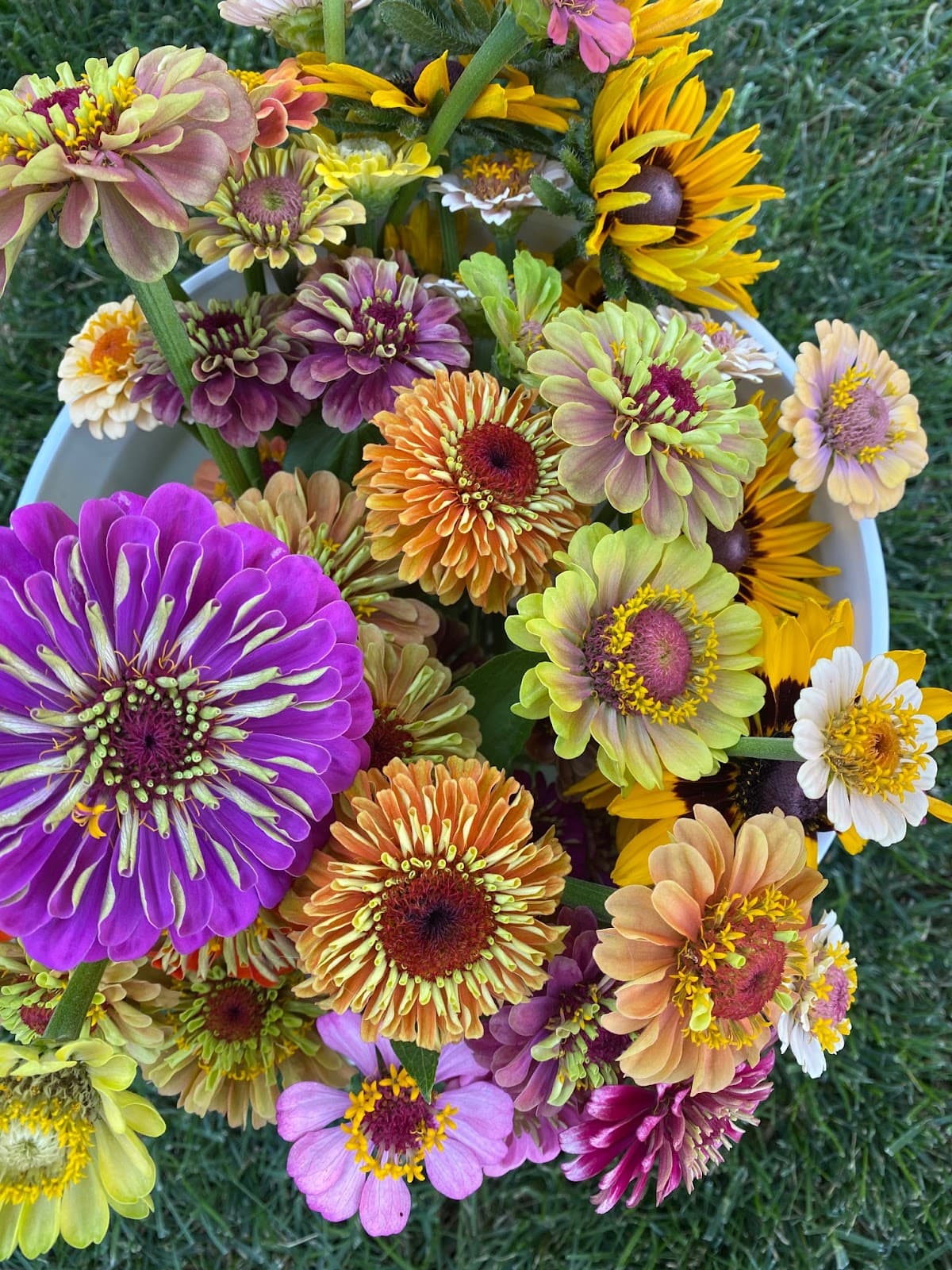 Rue & Sage Flowers - Image 1