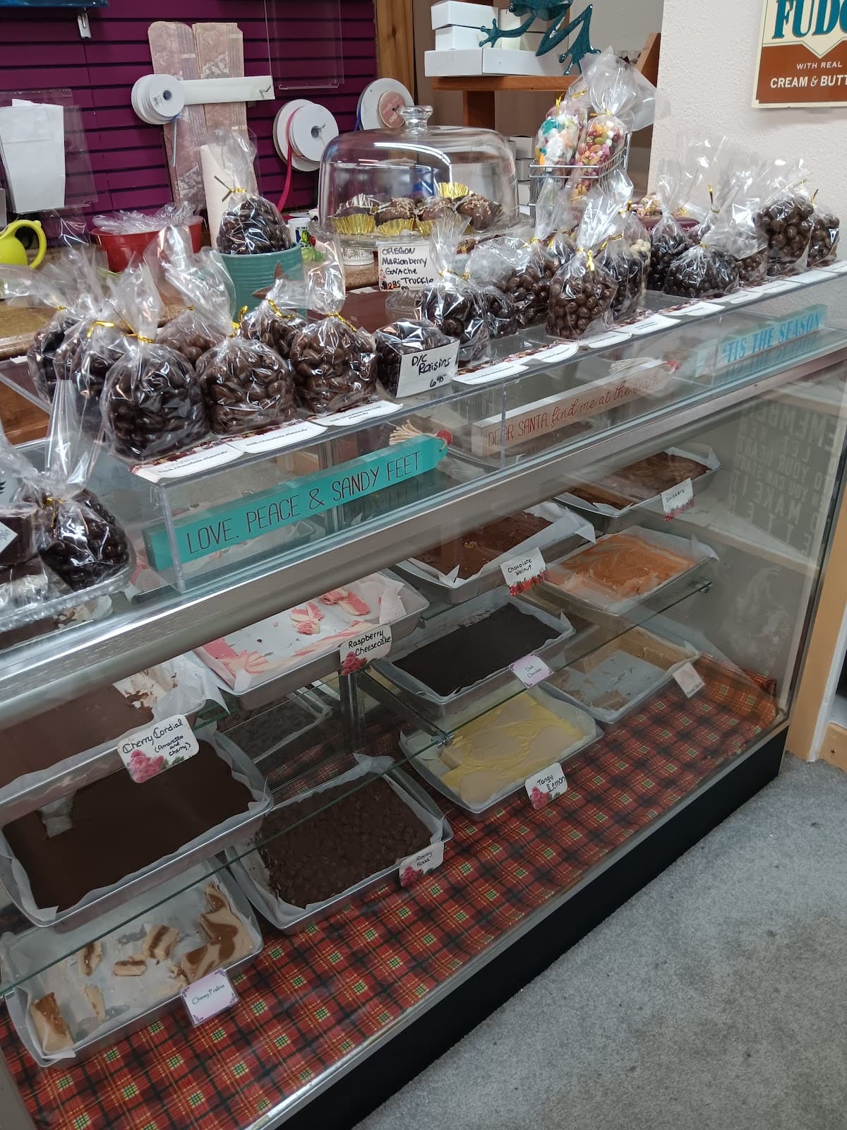 Flowers by the Sea - Image 1