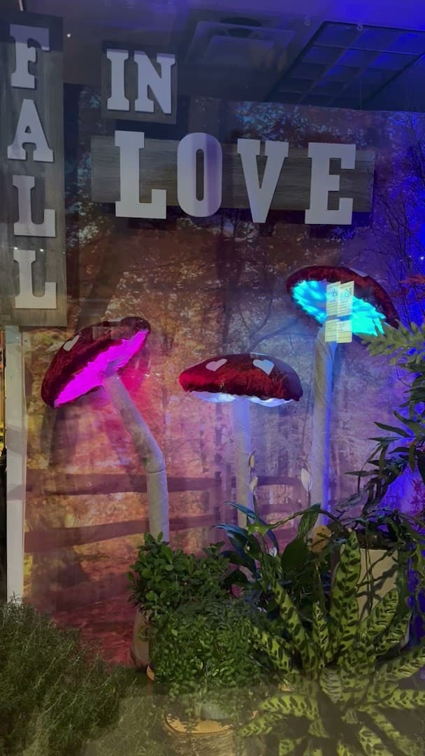 Bangor Floral - Image 1