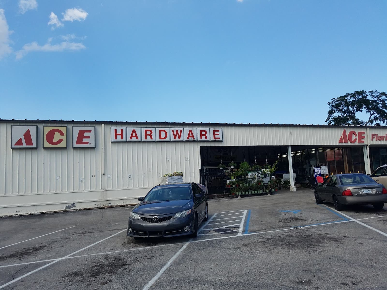 Turner Ace Florist & Nursery - Image 1