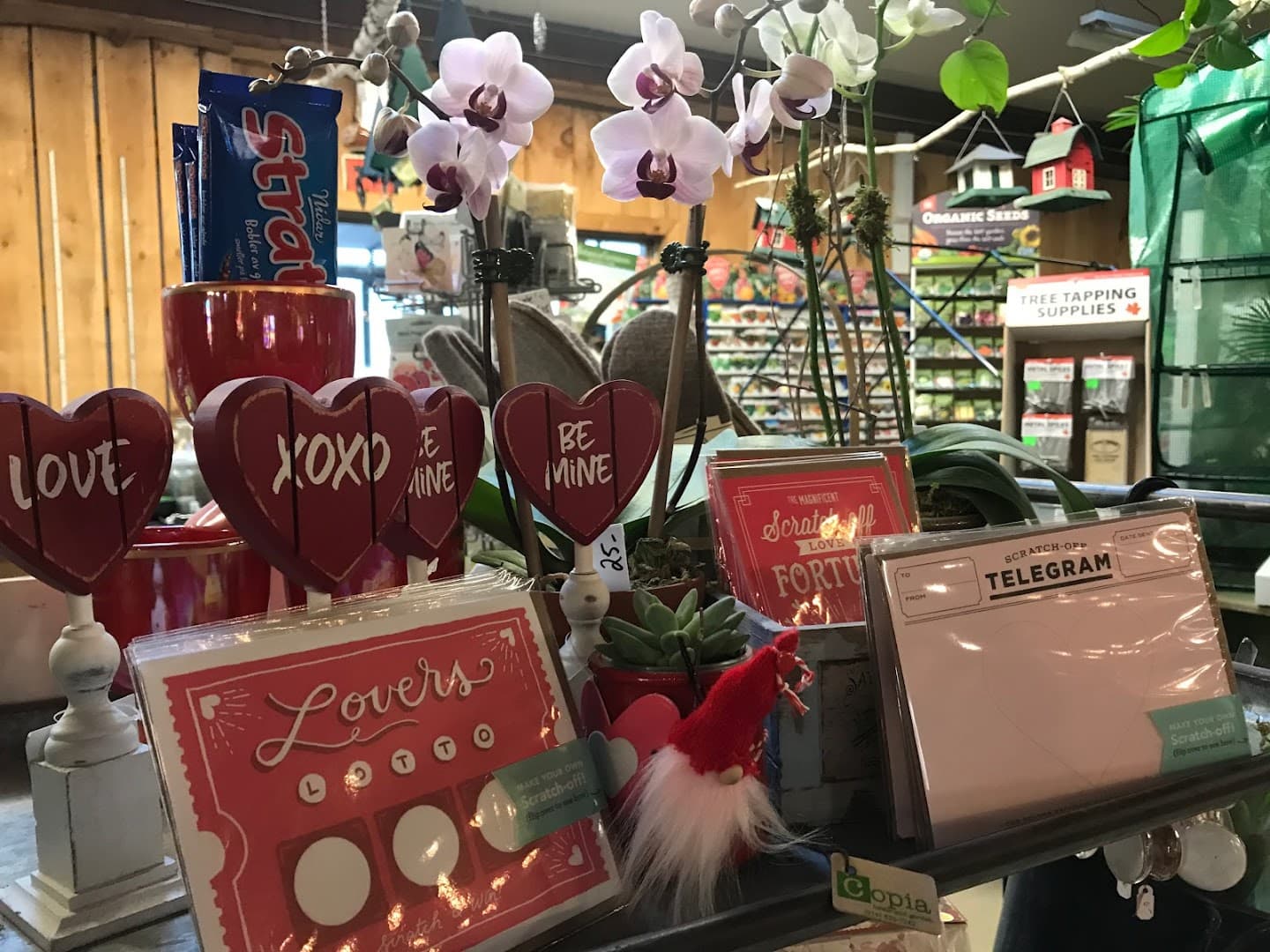 Copia Home and Garden - Image 1