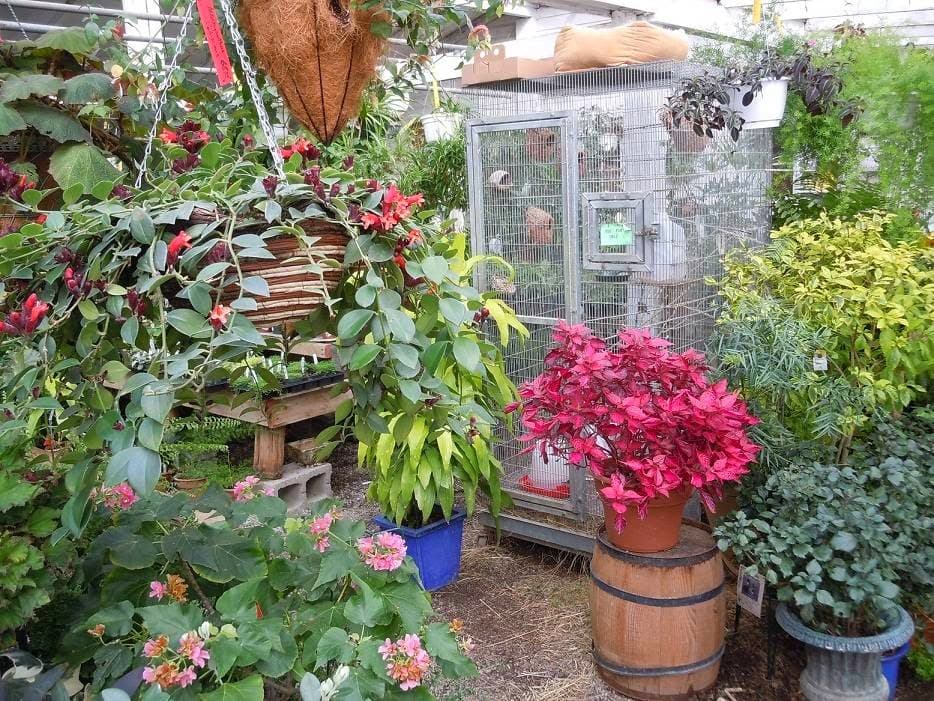 Ballek's Garden Center - Image 1