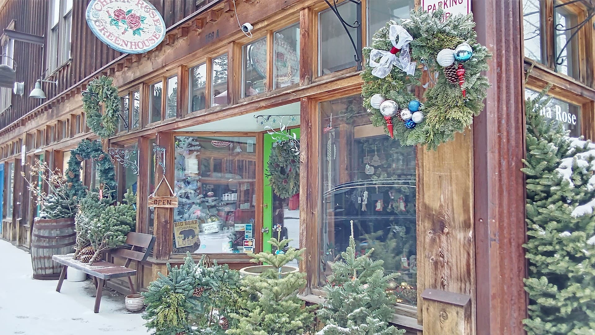 China Rose Florist - Image 1