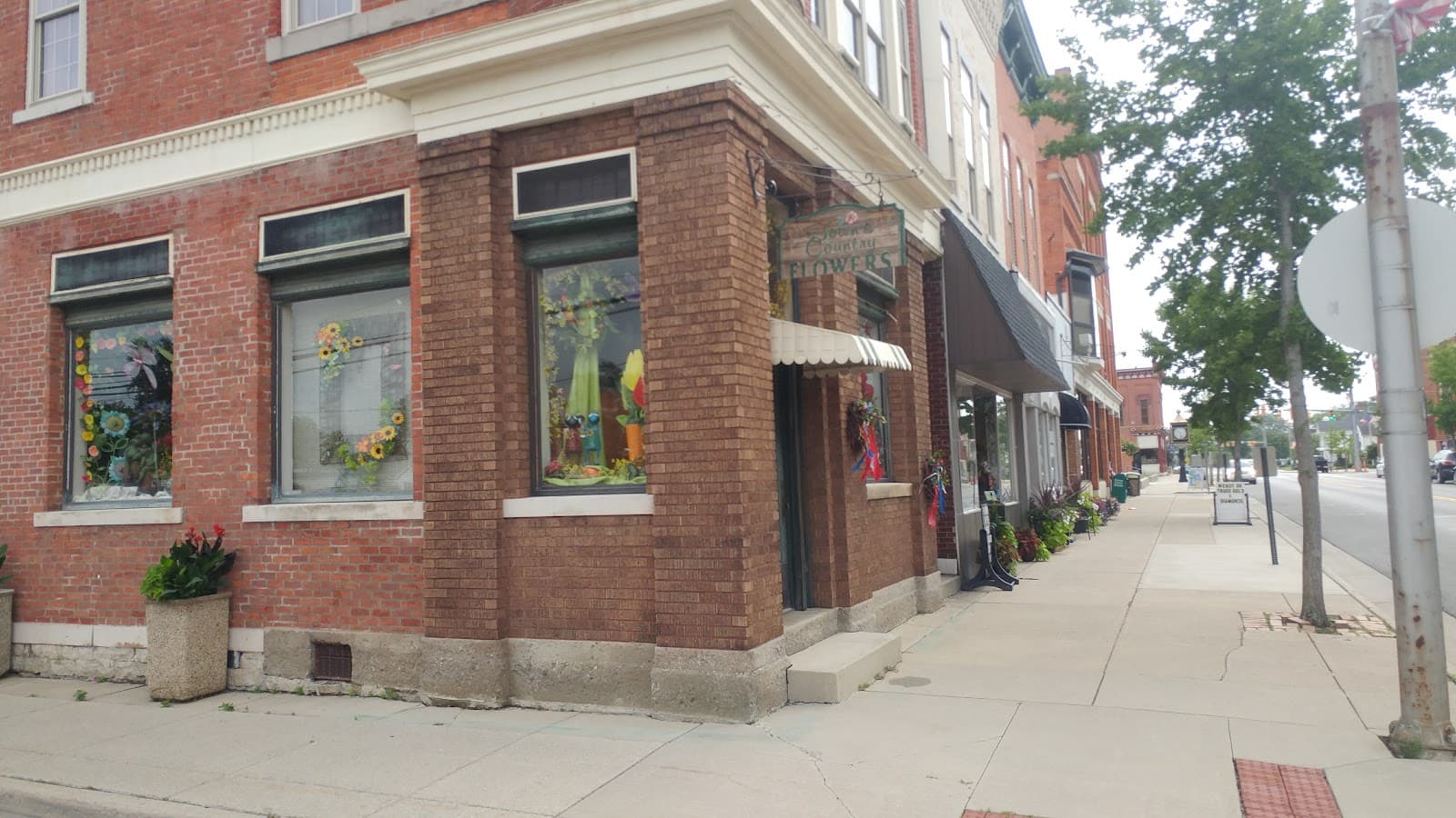 Town & Country Flowers - Image 1