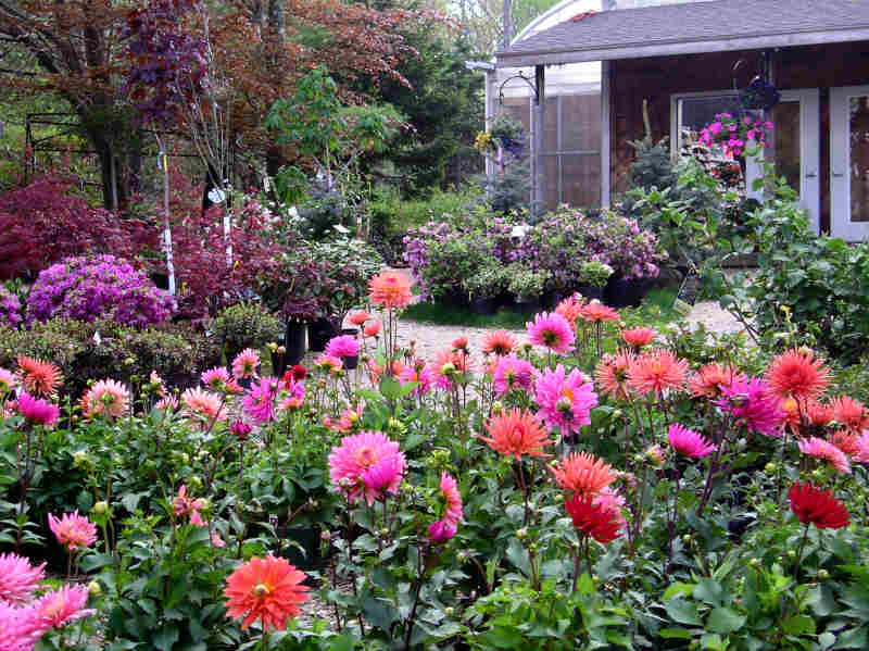 Bemis Farms Nursery - Image 1