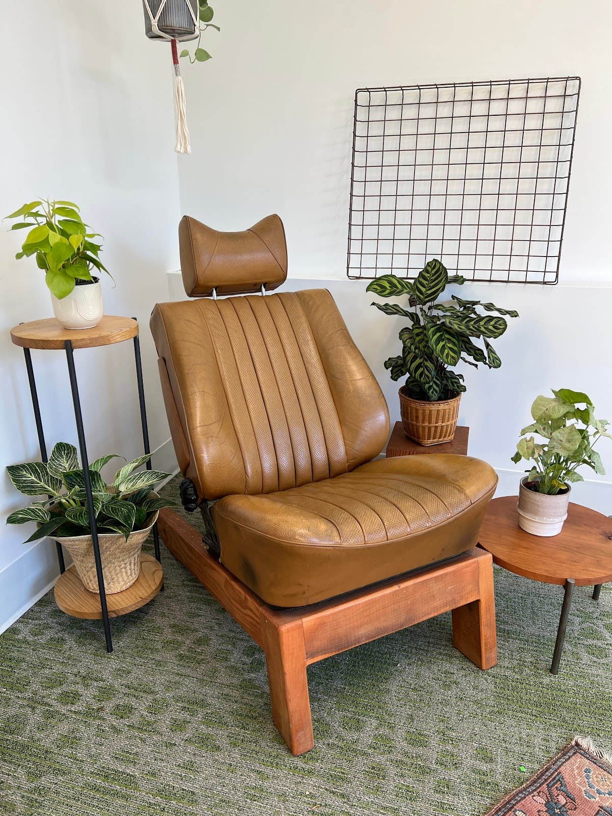 WestWind Succulents - Image 1