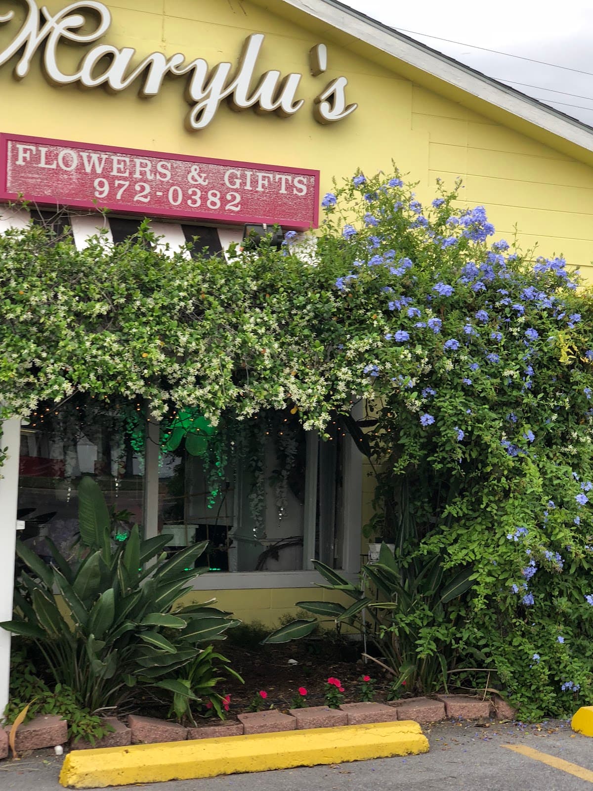 Marylu's Flowers and Gifts - Image 1