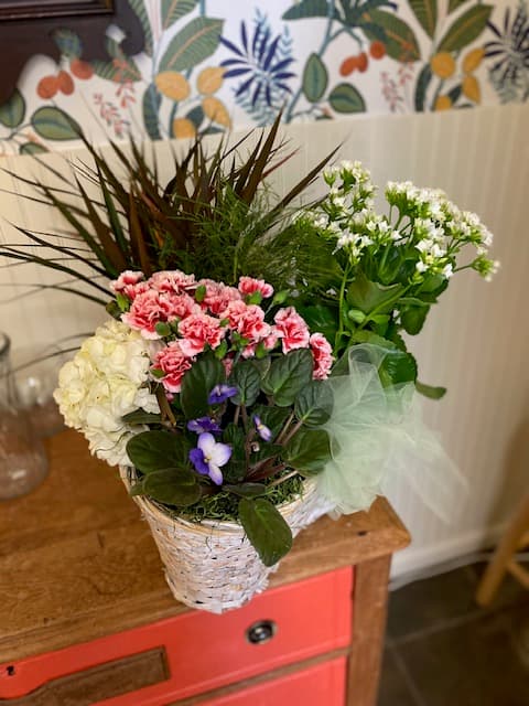 Fleurs de Lee - Image 1